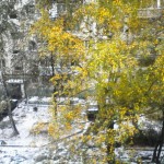 В Рязани пошёл снег… Праздник